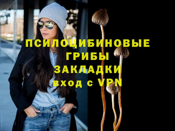 соль курить ск Козловка